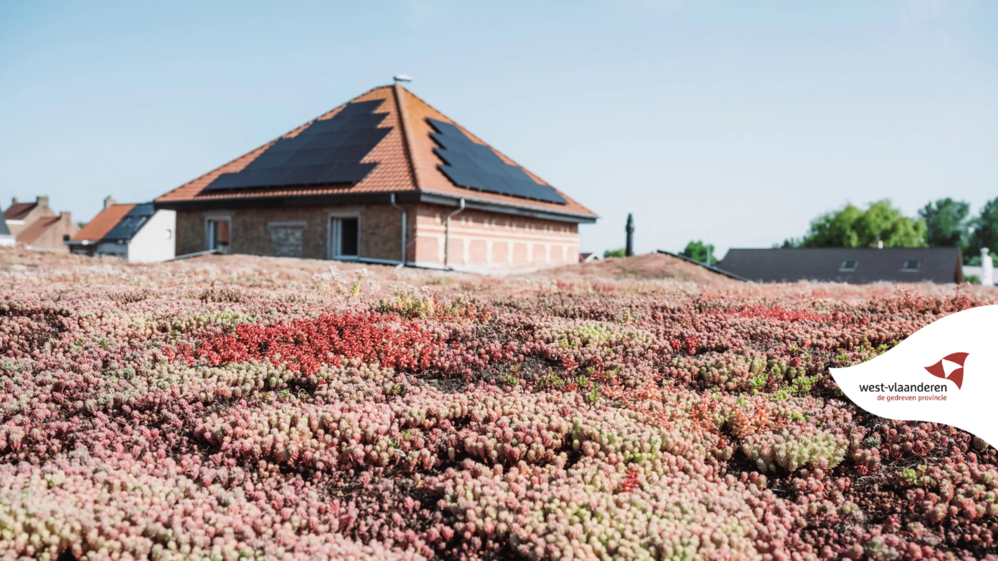 Header startpagina zicht op groendak en zonnepanelen Acasus